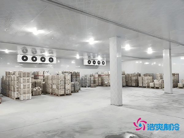 5000噸大型冷庫造價