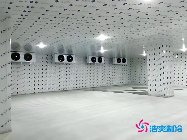 100平方冷凍庫設計安裝造價多少錢？