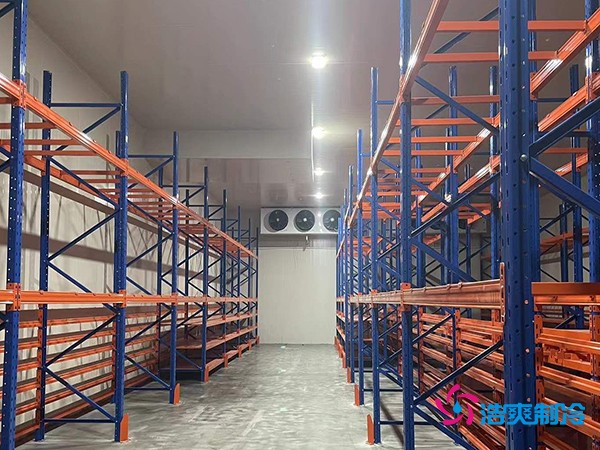 建中型冷庫要花多少錢？這些關鍵因素你必須知道-浩爽制冷