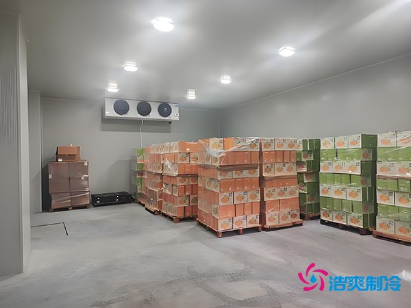 1000噸果蔬保鮮庫造價(jià)揭秘，節(jié)省成本就靠這幾點(diǎn)！