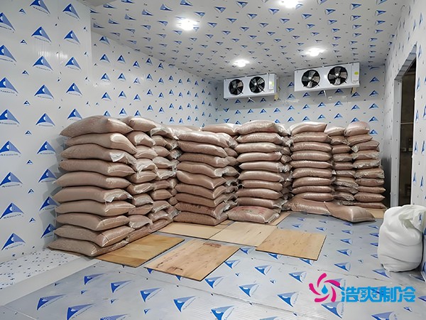 2萬起建種子冷庫？這些因素讓造價翻倍！