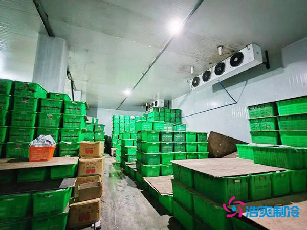 水果保鮮冷庫(kù)建造價(jià)格每平米多少錢(qián)？