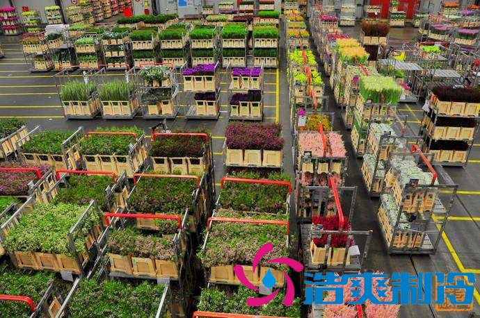 上海1000㎡花卉恒溫庫(kù)安裝設(shè)備需要多少錢 